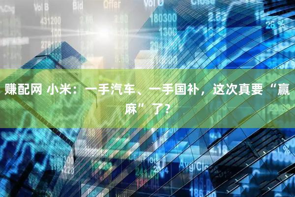 赚配网 小米：一手汽车、一手国补，这次真要 “赢麻” 了？