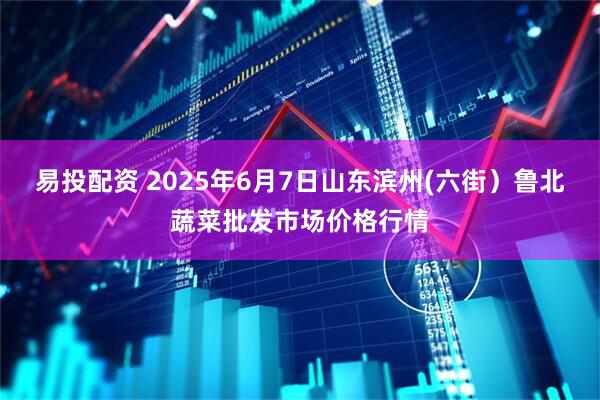 易投配资 2025年6月7日山东滨州(六街)鲁北蔬菜批发市场价格行情