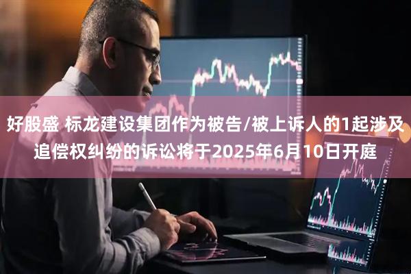 好股盛 标龙建设集团作为被告/被上诉人的1起涉及追偿权纠纷的诉讼将于2025年6月10日开庭