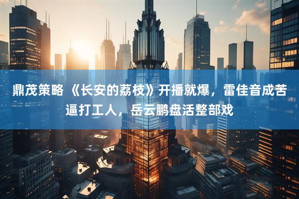鼎茂策略 《长安的荔枝》开播就爆，雷佳音成苦逼打工人，岳云鹏盘活整部戏