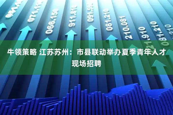 牛领策略 江苏苏州：市县联动举办夏季青年人才现场招聘