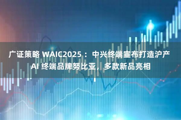 广证策略 WAIC2025 ：中兴终端宣布打造沪产 AI 终端品牌努比亚，多款新品亮相