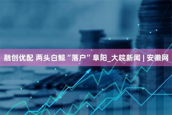 融创优配 两头白鲸“落户”阜阳_大皖新闻 | 安徽网