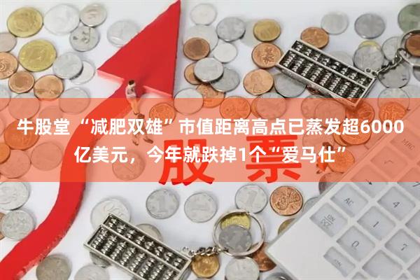 牛股堂 “减肥双雄”市值距离高点已蒸发超6000亿美元，今年就跌掉1个“爱马仕”