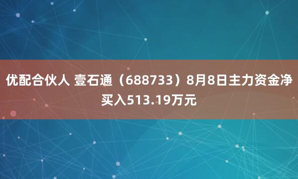 优配合伙人 壹石通（688733）8月8日主力资金净买入513.19万元