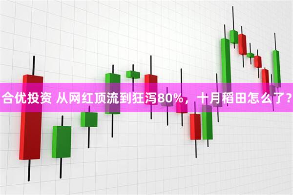 合优投资 从网红顶流到狂泻80%，十月稻田怎么了？